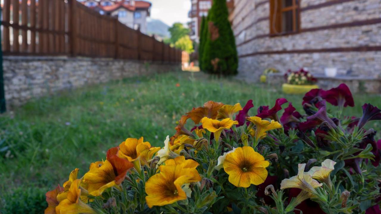 Two Bedroom Apartments In Murphys Lodge Bansko Exterior foto